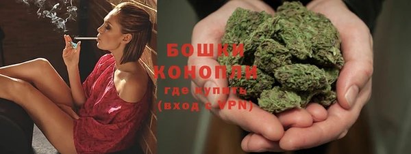ешки Вяземский