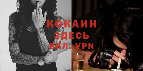 ешки Вяземский