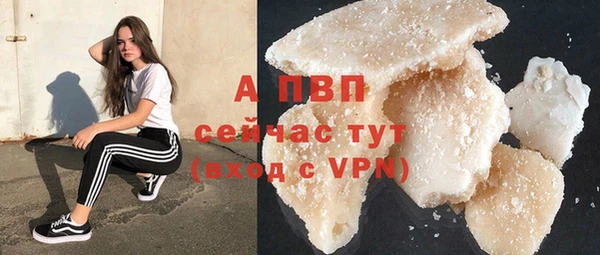 ешки Вяземский