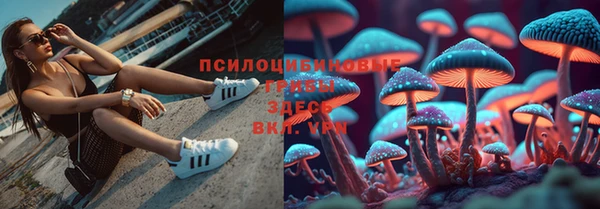 ешки Вяземский