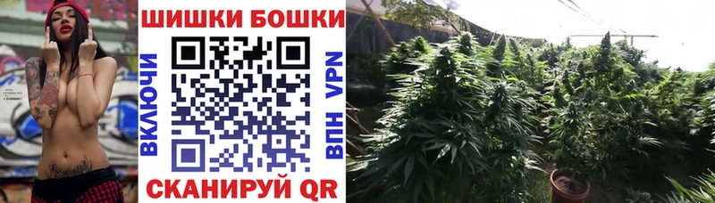 где купить наркоту  Евпатория  mega tor  Бошки марихуана LSD WEED 